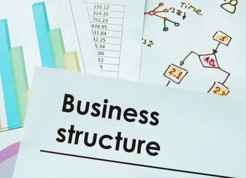 business structure